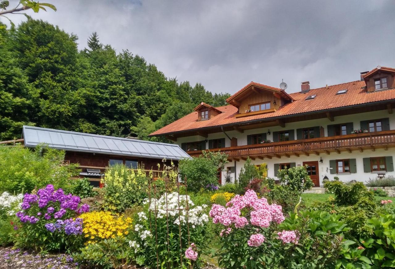 Haus Jaegerfleck, Ihre Ferienwohnungen Am Nationalpark Bayerischer Wald Spiegelau Ngoại thất bức ảnh